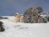  - moments de détente à la neige